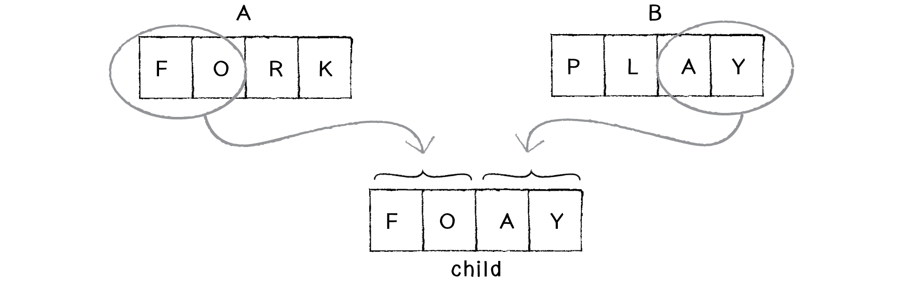 Nature of Code Image