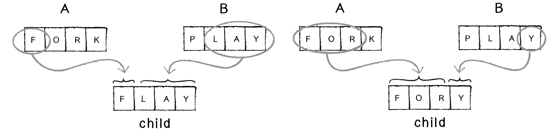 Nature of Code Image