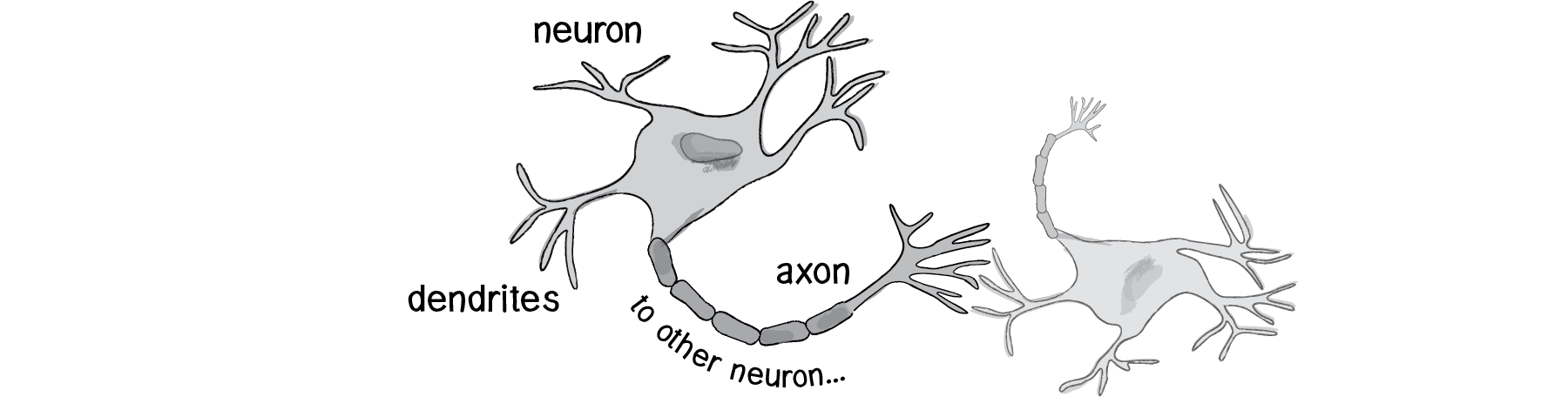 Nature of Code Image